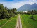Jasa Website untuk Startup Garut: Bangun Kehadiran Digital Anda